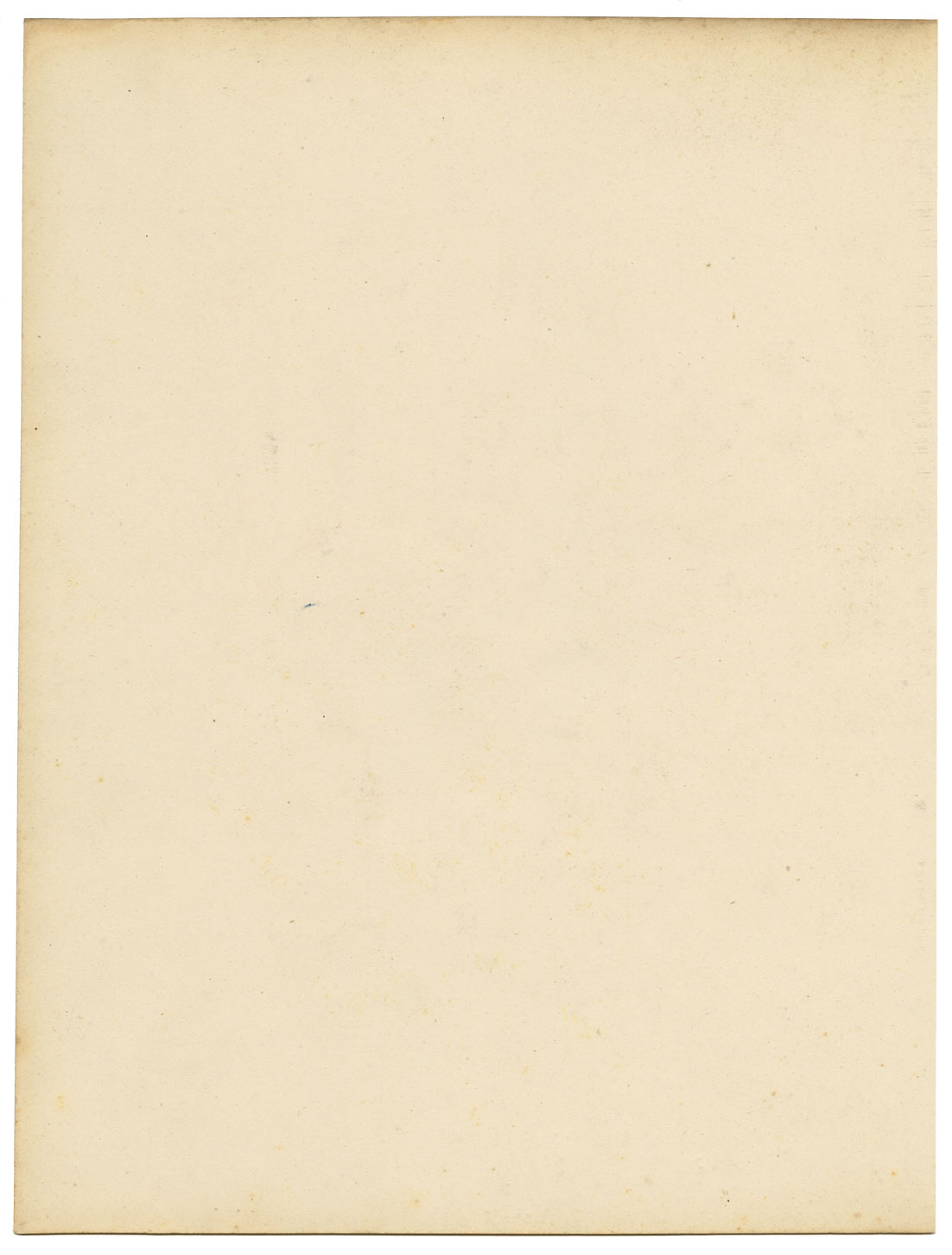 Joseph Paxton Petunia Punctata Flower – mid-19th-century watercolour painting