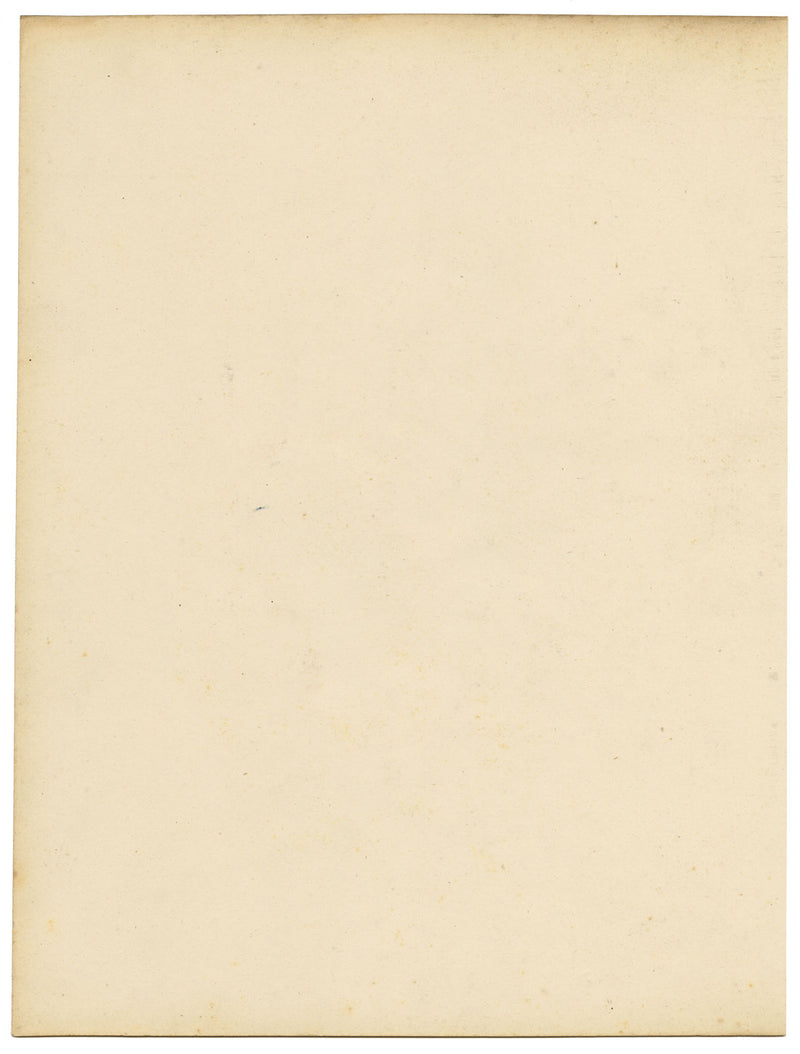 Joseph Paxton Petunia Punctata Flower – mid-19th-century watercolour painting