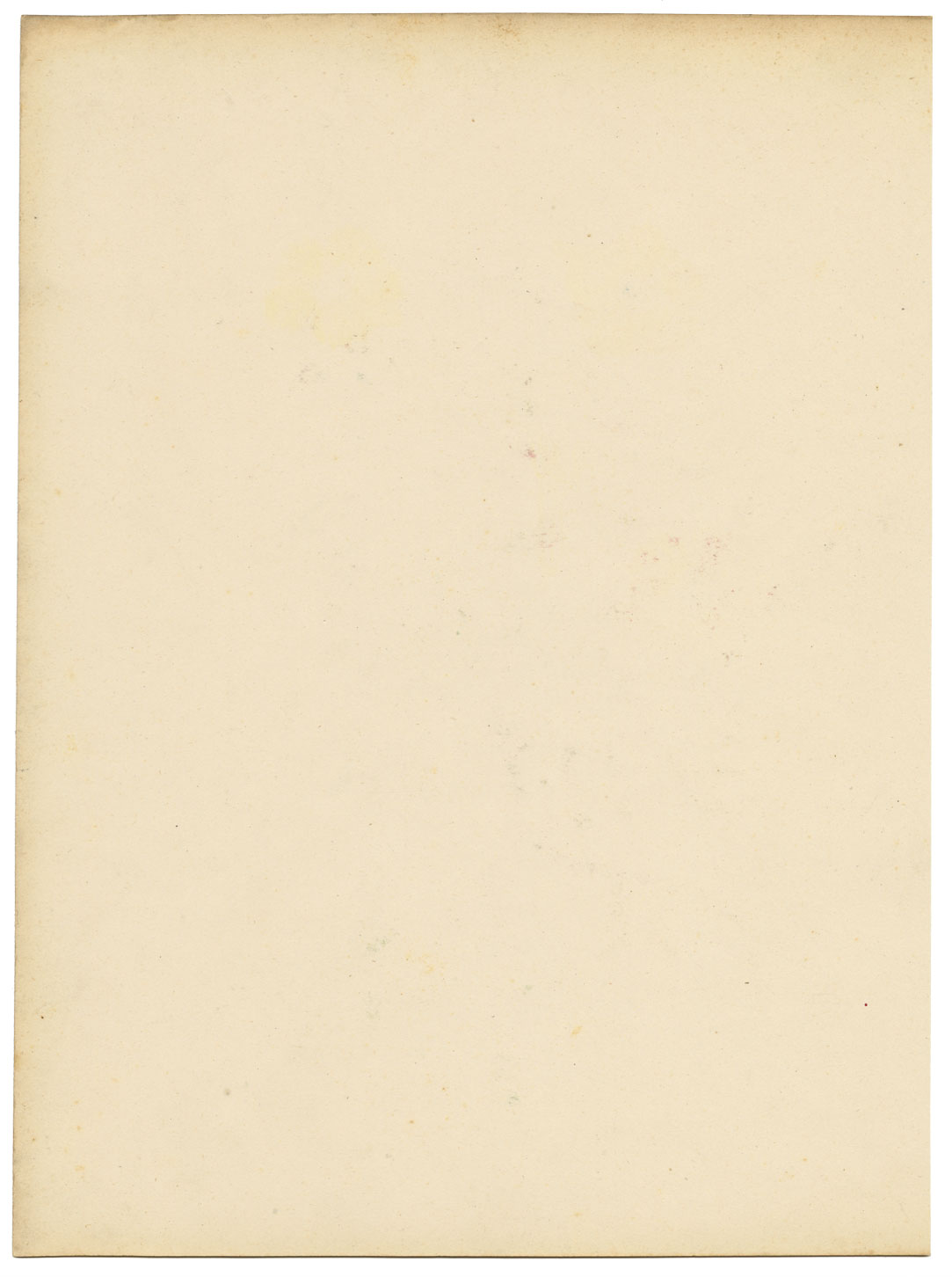 Joseph Paxton Luxemburgia Ciliosa Flower – acquerello della metà del XIX secolo