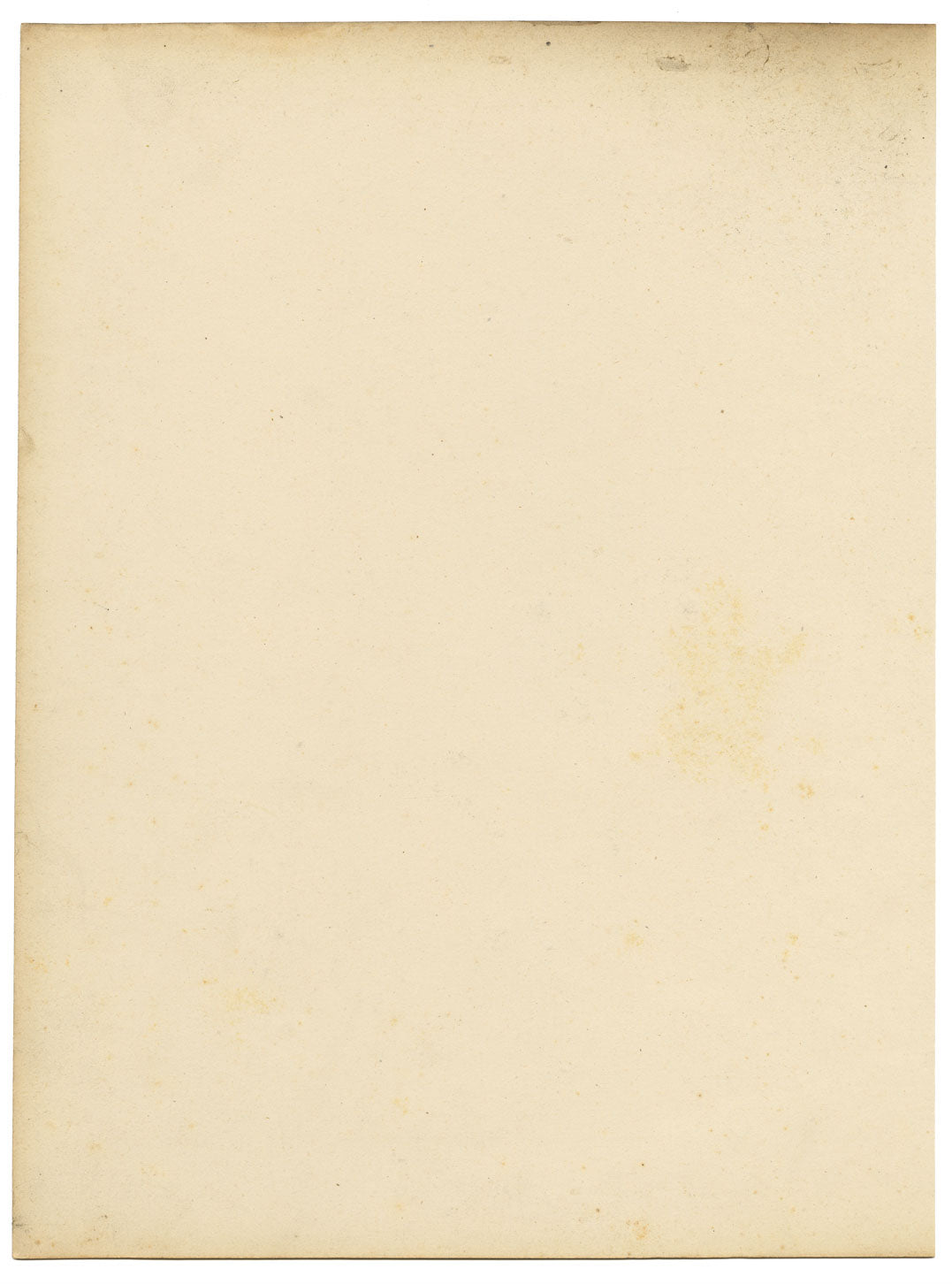 Joseph Paxton Epacris Autumnale Flower – dipinto ad acquerello della metà del XIX secolo