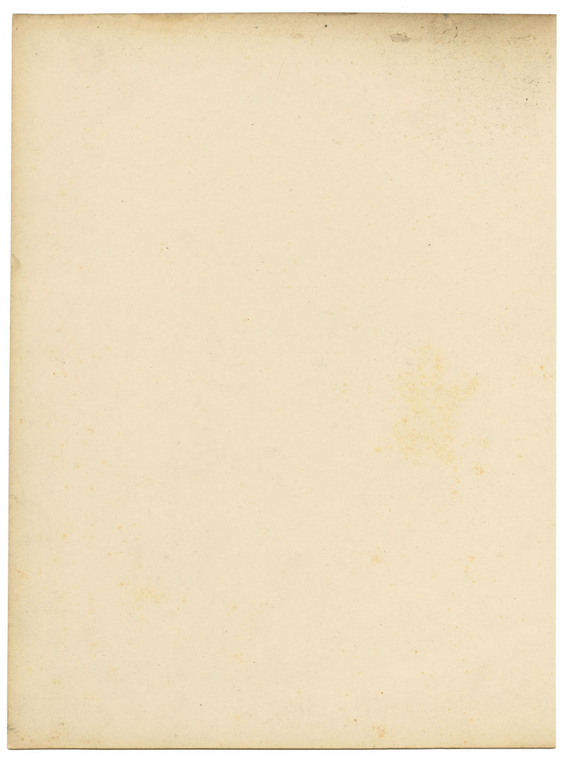 Joseph Paxton Epacris Autumnale Flower – dipinto ad acquerello della metà del XIX secolo