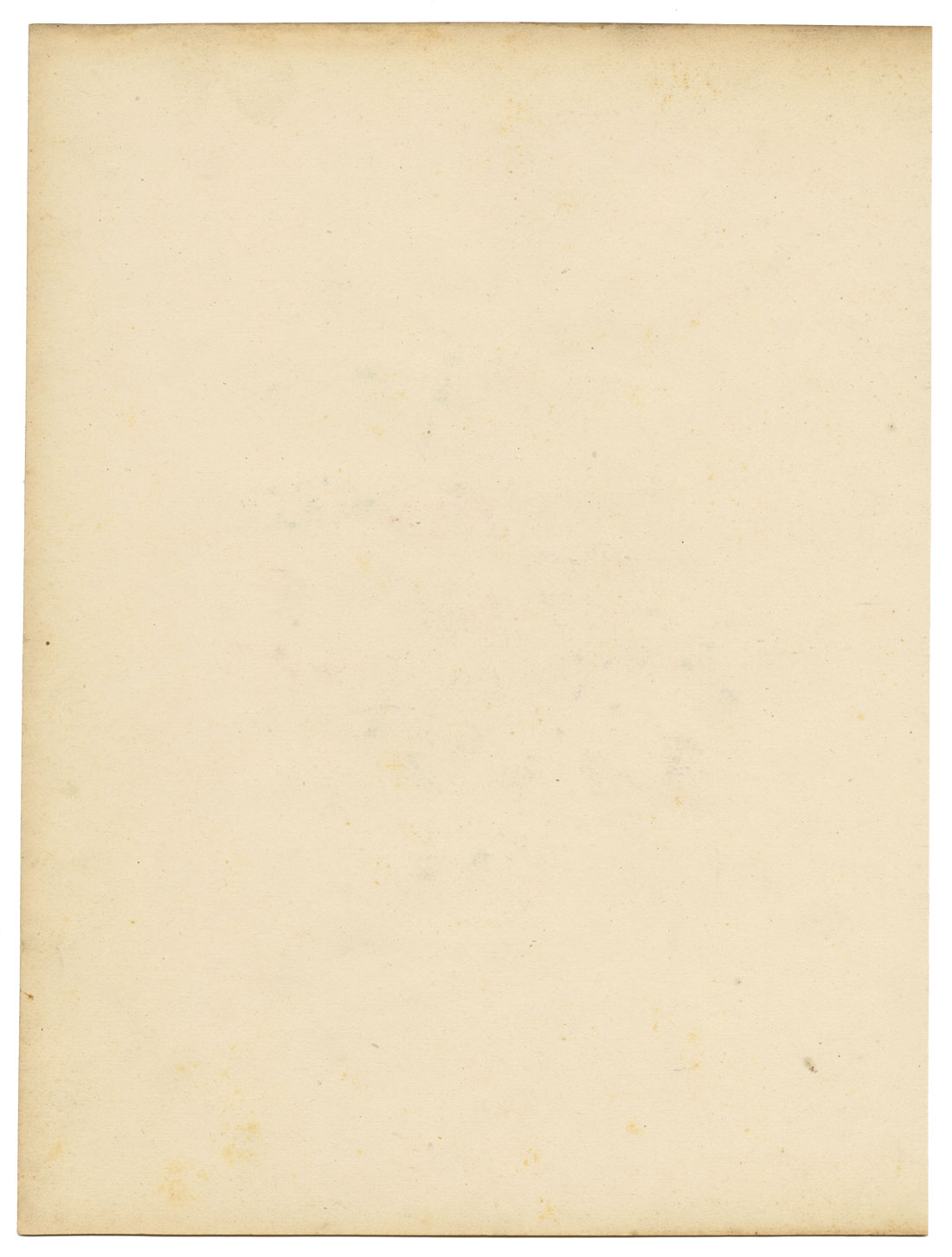 Joseph Paxton Gladiolus Gandiensis Flower – dipinto ad acquerello della metà del XIX secolo