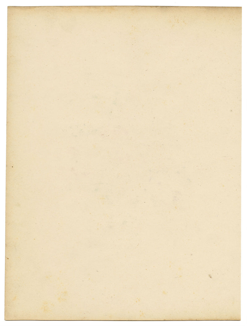 Joseph Paxton Gladiolus Gandiensis Flower – dipinto ad acquerello della metà del XIX secolo