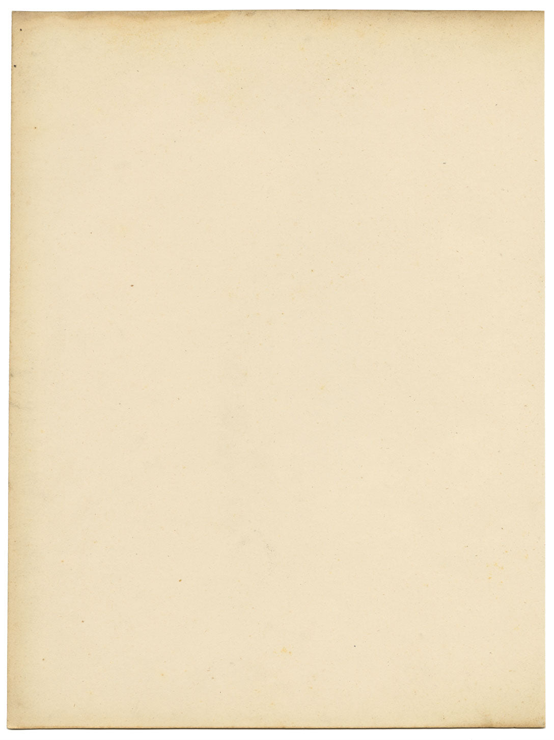 Stephanotis (Jasmine) Flower – mid-19th-century watercolour painting