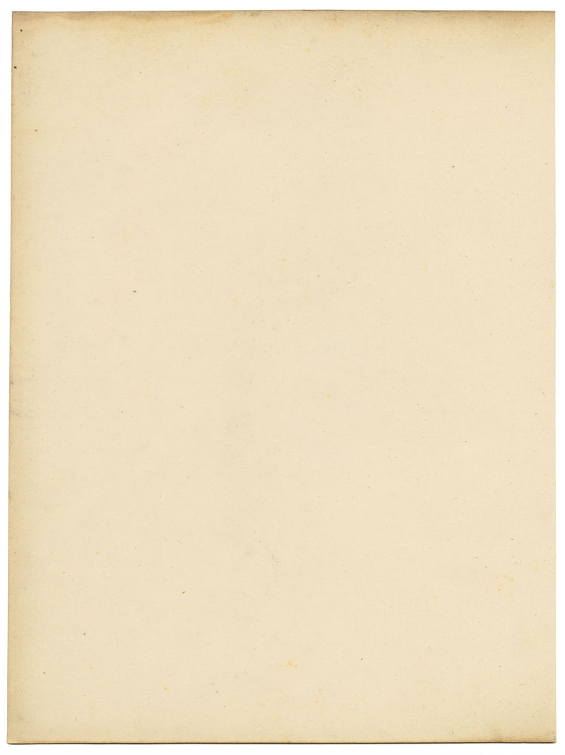 Stephanotis (Jasmine) Flower – mid-19th-century watercolour painting