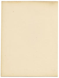 Fiore di Spinosum – Acquerello originale della metà del XIX secolo