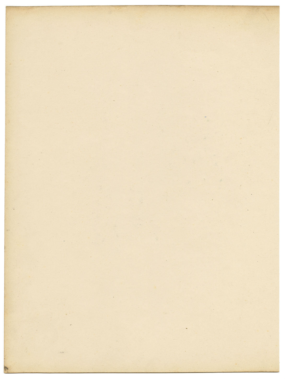 Joseph Paxton Gloxinia Speciosa Flower – dipinto ad acquerello della metà del XIX secolo