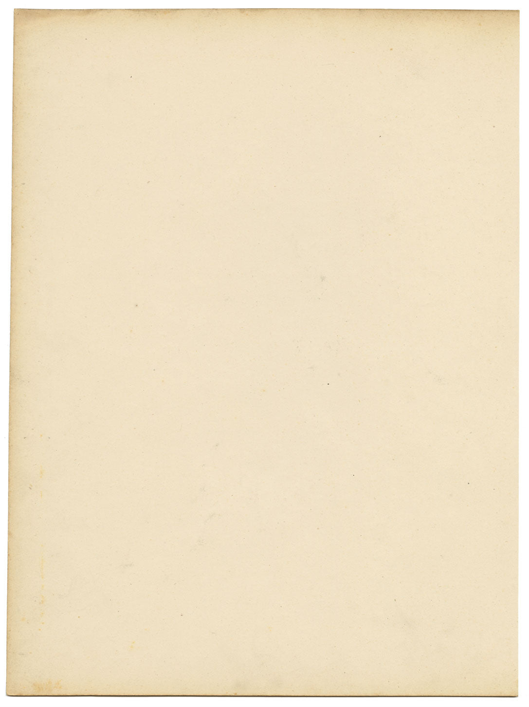 Flor de Campanula Fragilis Hirsuta de Joseph Paxton – acuarela de mediados del siglo XIX