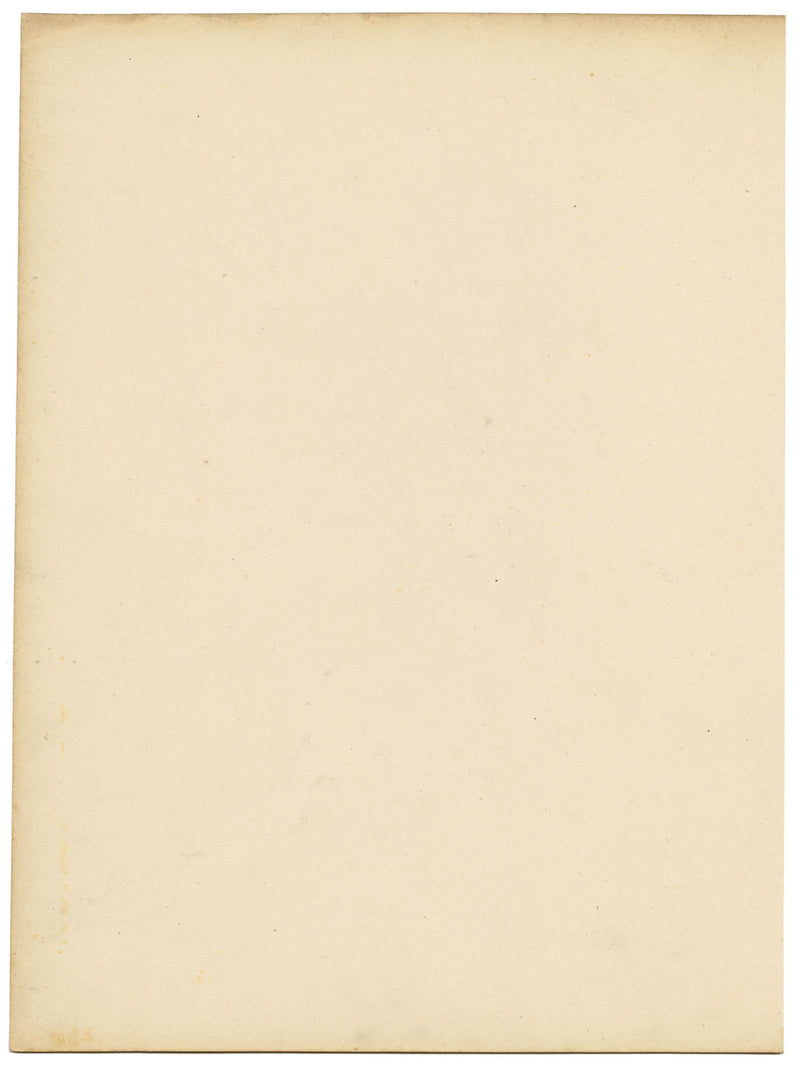 Flor de Campanula Fragilis Hirsuta de Joseph Paxton – acuarela de mediados del siglo XIX