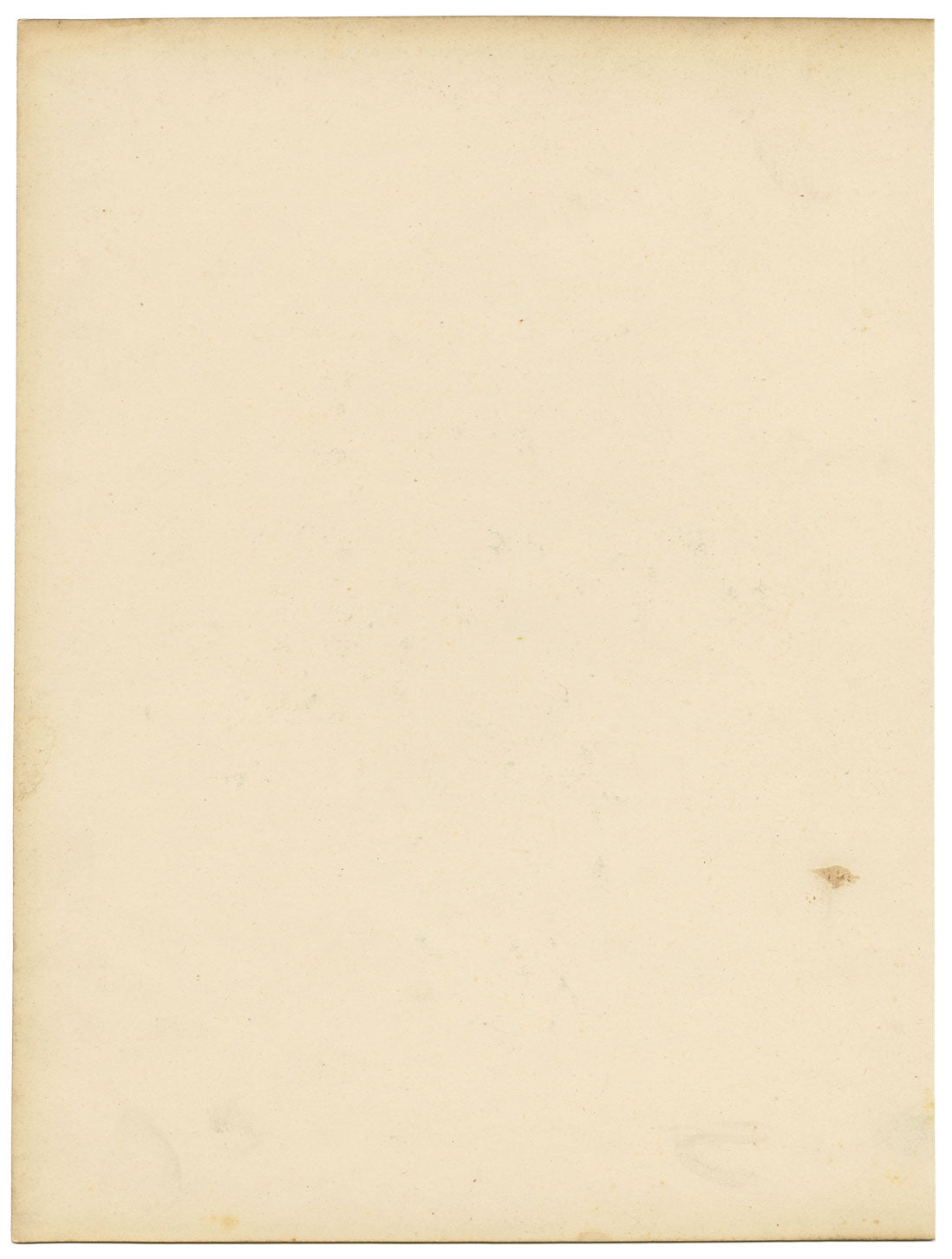 Louis van Houtte Tropaeolum Lobbianum Flower – mid-C19th watercolour painting