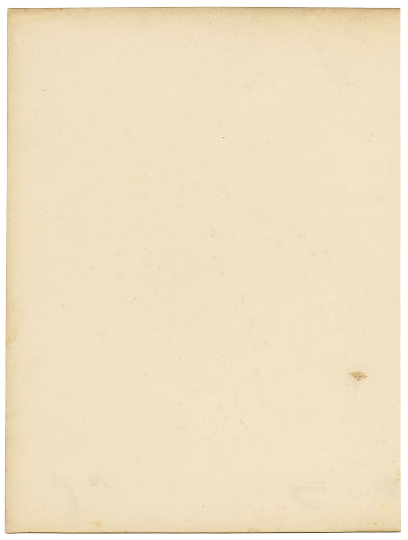 Louis van Houtte Tropaeolum Lobbianum Flower – mid-C19th watercolour painting