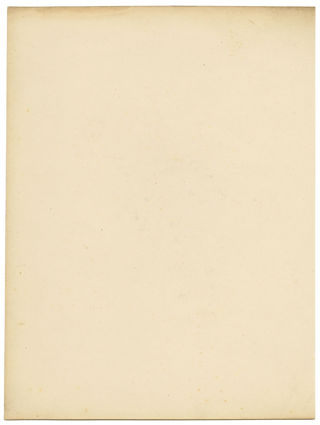 Joseph Paxton Erica Murrayana Flower – mid-C19th watercolour painting