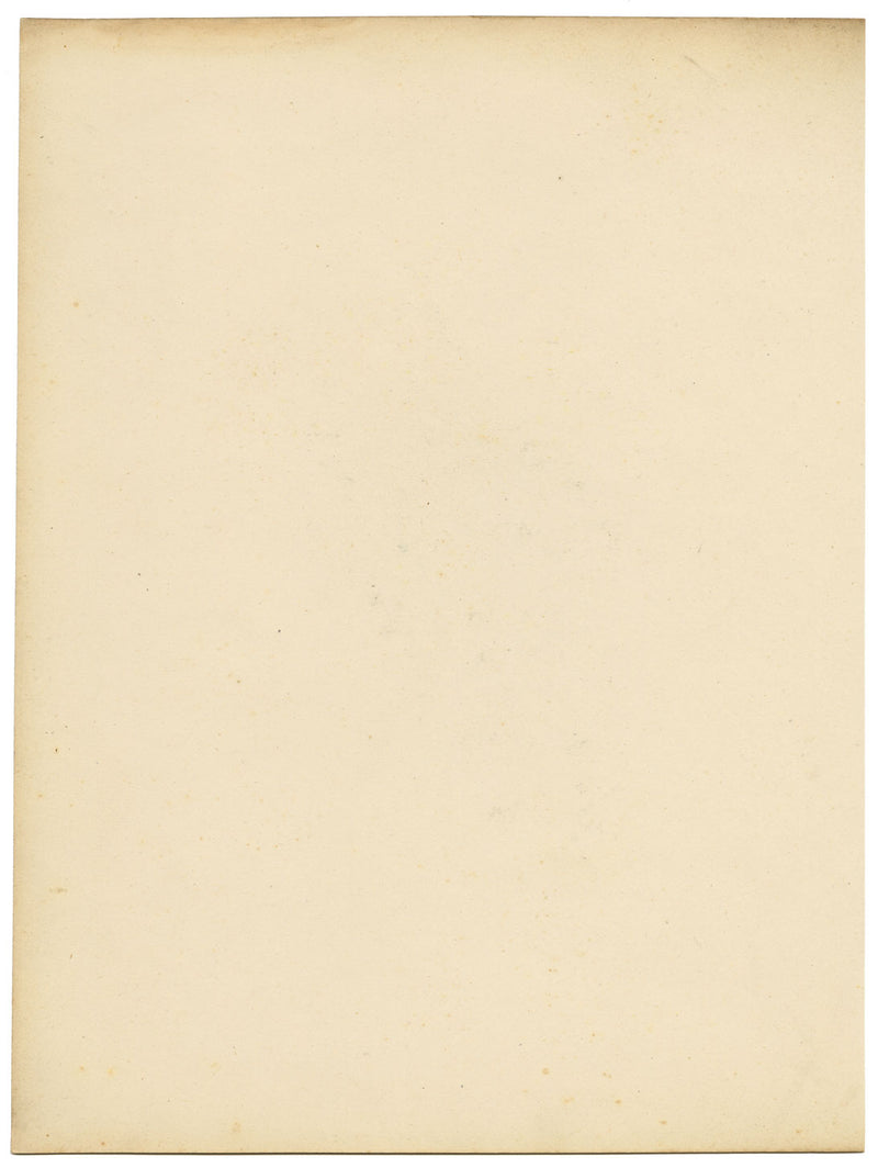 Joseph Paxton Erica Murrayana Flower – mid-C19th watercolour painting