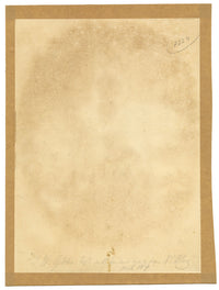 Henry Edrington Hobson, A Young Fern Gatherer – 1867 watercolour painting