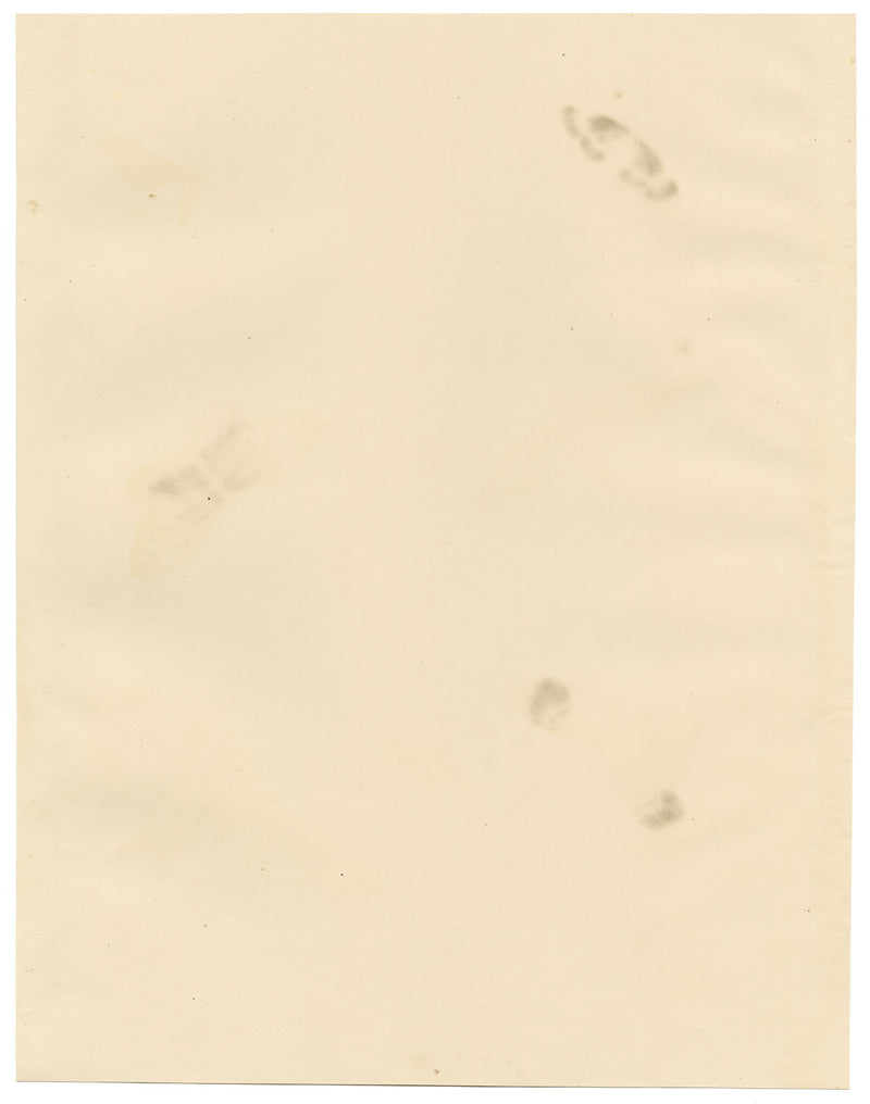 Cascada cerca de Capel Curig, Caernarvonshire, Gales - Pintura de acuarela de 1832