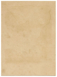 Castello di Swansea, Glamorganshire – Stampa originale dell'inizio del XIX secolo