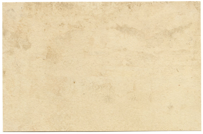 Italian Coast with Stone Pine – Original late 19th-century watercolour painting