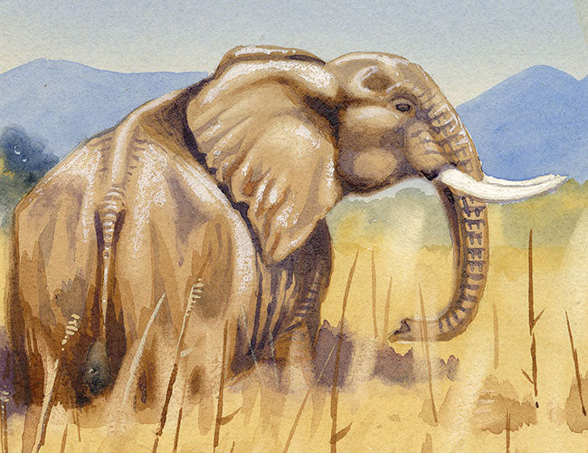 Leland M. Dundas, African Elephant, Kenya – Original 1920s watercolour painting