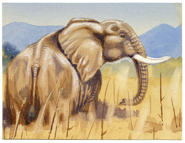 Leland M. Dundas, African Elephant, Kenya – Original 1920s watercolour painting