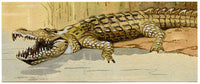 Leland M. Dundas, African Crocodile, Kenya – Original 1920s watercolour painting