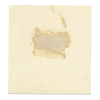 Leland M. Dundas, African Puku Antelope – Original 1920s watercolour painting