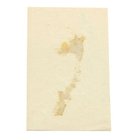 Leland M. Dundas, African Grey-headed Gull, Kenya – 1920s gouache painting