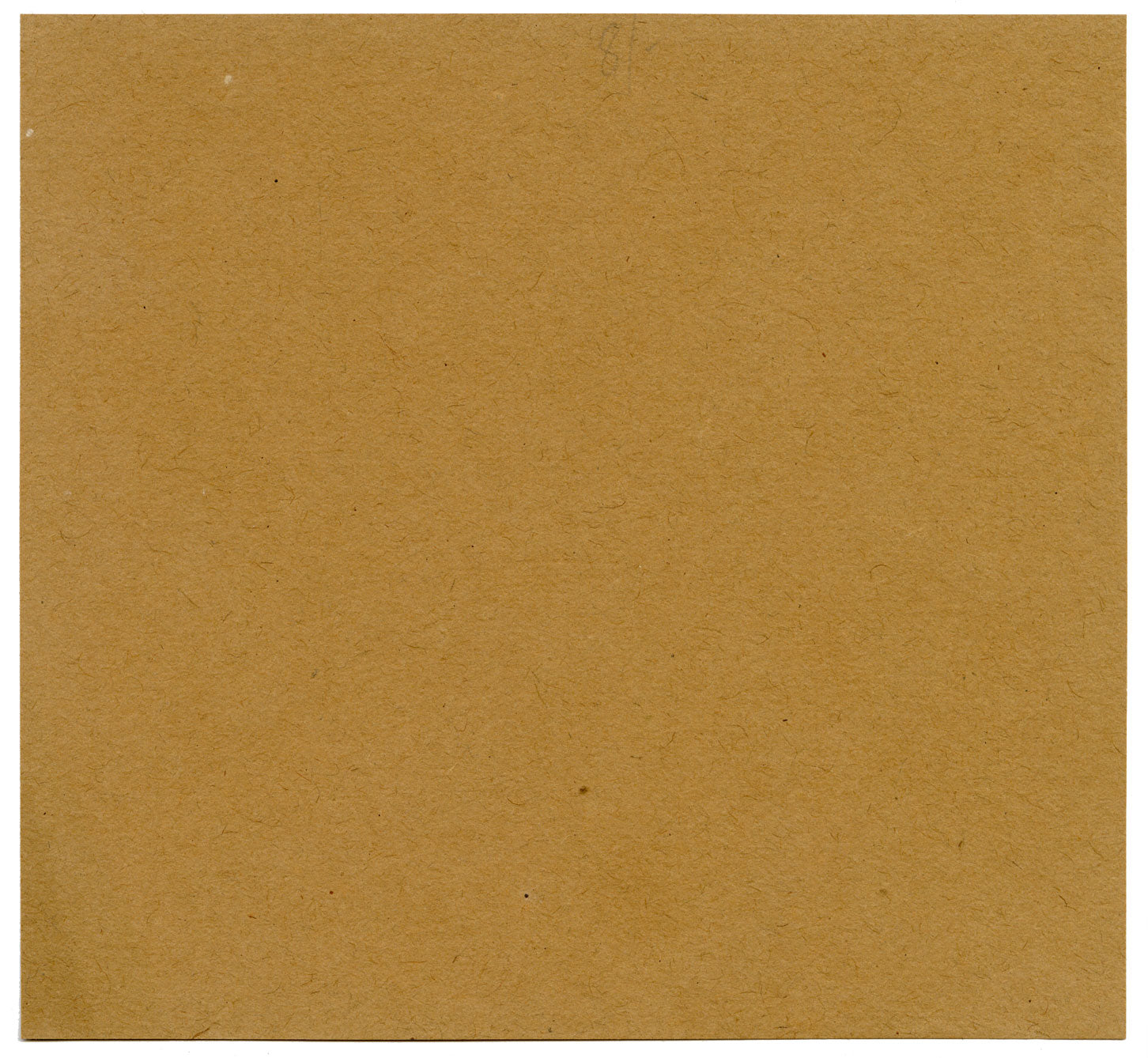 Leland M. Dundas, Migratory Cinereous Vulture, Africa – 1920s pastel drawing