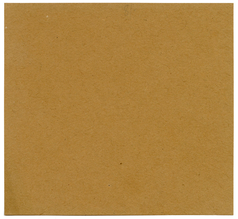 Leland M. Dundas, Migratory Cinereous Vulture, Africa – 1920s pastel drawing