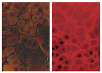 Mid-century Original Marbled Paper, Two Sheets in Rust & Red 1953