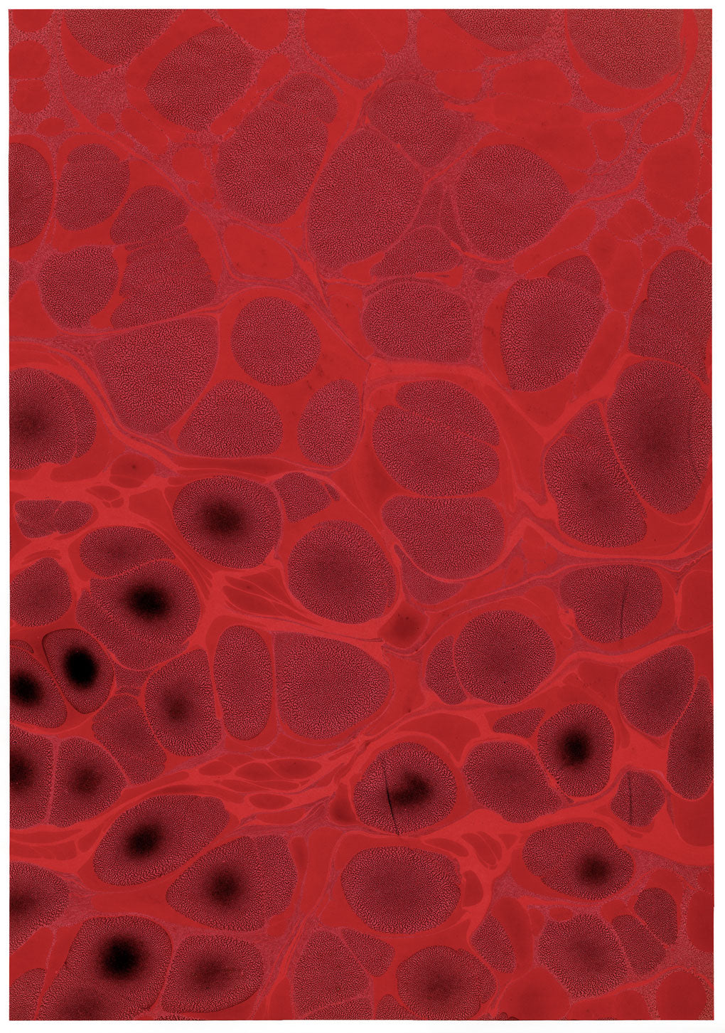 Mid-century Original Marbled Paper, Two Sheets in Rust & Red 1953