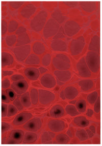 Papel marmoleado original de mediados de siglo, dos hojas en óxido y rojo, 1953