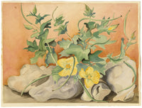 MDB, Naturaleza muerta con flores de luffa decorativas, acuarela de principios del siglo XX