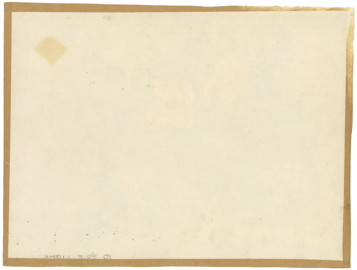 MDB, Naturaleza muerta con flores de luffa decorativas, acuarela de principios del siglo XX