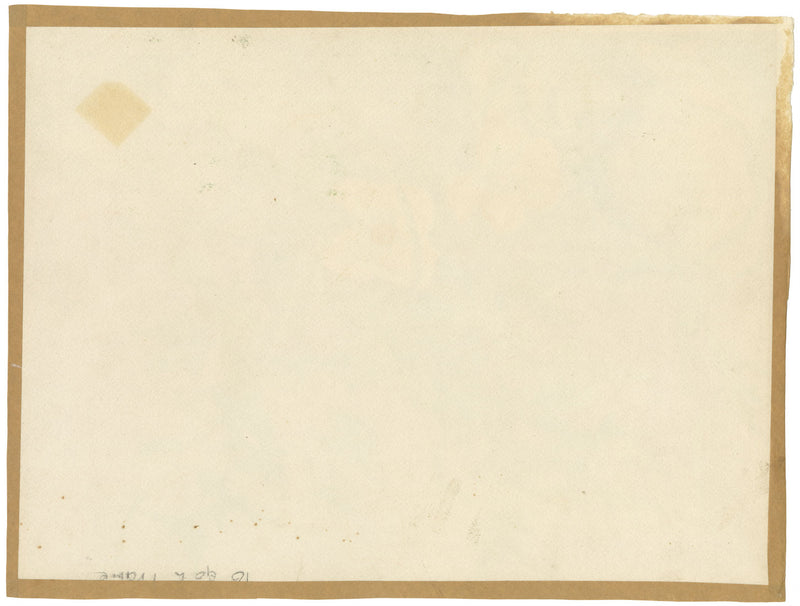 MDB, Naturaleza muerta con flores de luffa decorativas, acuarela de principios del siglo XX