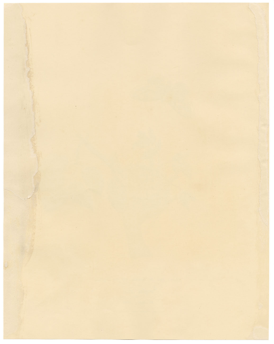 Louisa Hare, Chaffinch Bird Nest & Eggs from Life – 1832 watercolour painting