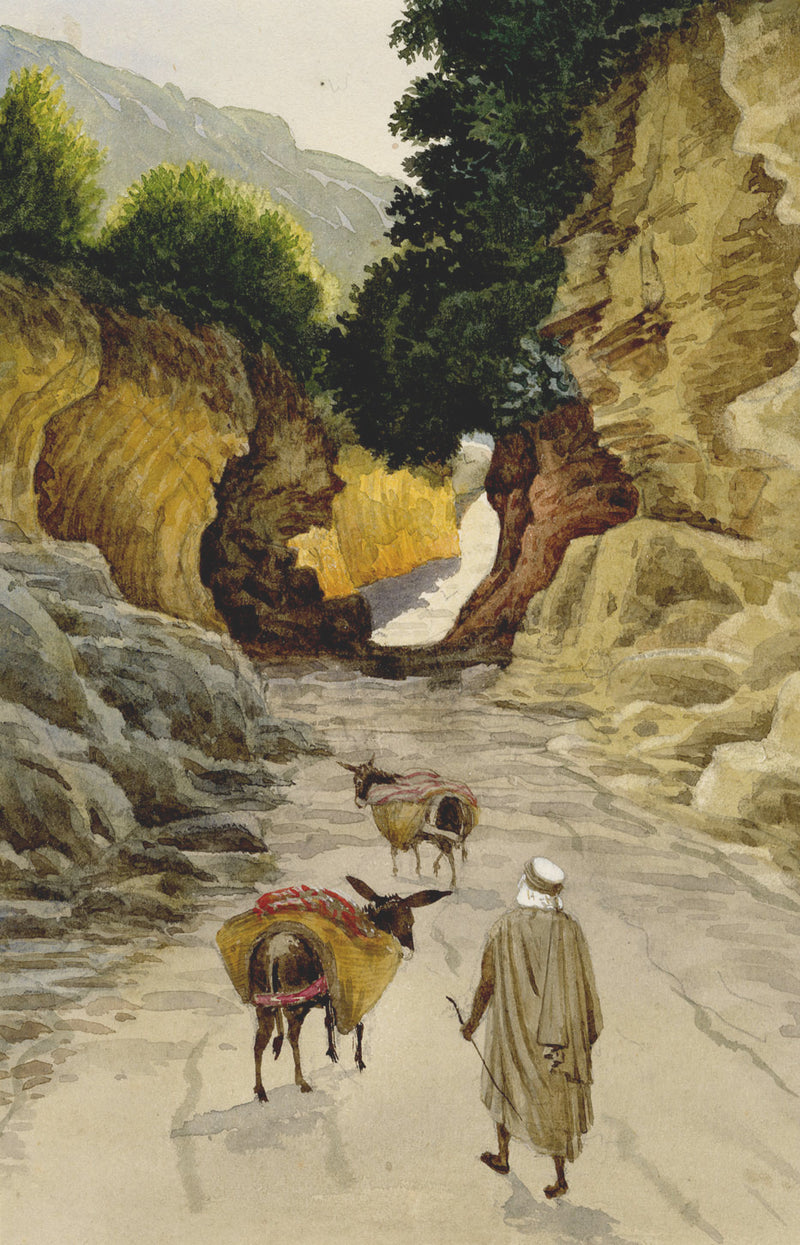 George J. Cayley, Pack Donkeys near Fontaine Bleue, Algiers – c.1874 watercolour