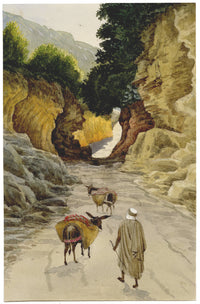 George J. Cayley, Pack Donkeys near Fontaine Bleue, Algiers – c.1874 watercolour