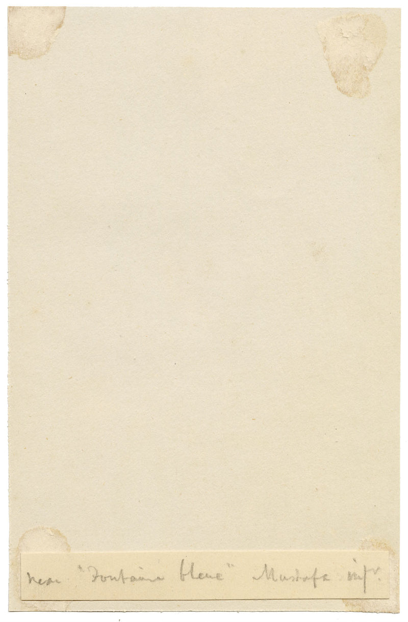 George J. Cayley, Pack Donkeys near Fontaine Bleue, Algiers – c.1874 watercolour