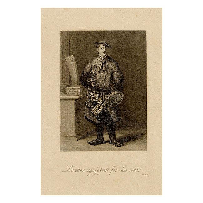 Carl Linnaeus Equipped for His Tour of Lapland – Original c.1805 engraving print