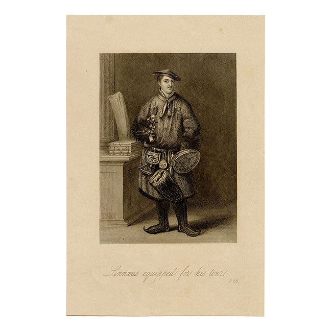 Carl Linnaeus equipado para su viaje a Laponia – Grabado original de c. 1805