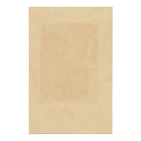 Carl Linnaeus equipado para su viaje a Laponia – Grabado original de c. 1805