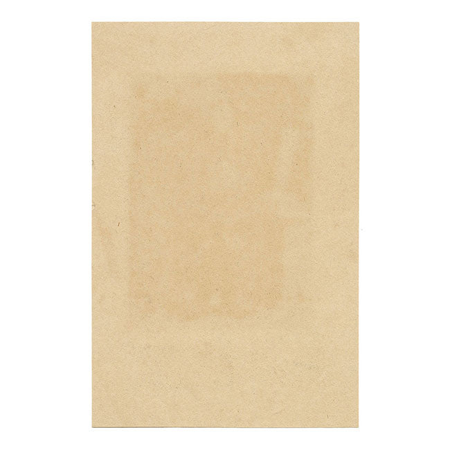 Carl Linnaeus equipado para su viaje a Laponia – Grabado original de c. 1805