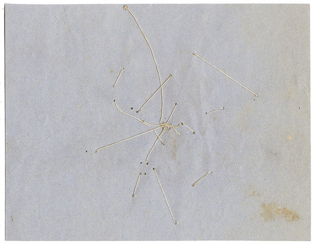 Ejemplar de flor silvestre prensada de herbario chino – c.1859