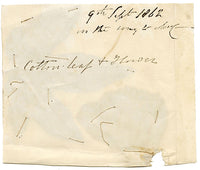 Ejemplar de hojas y flores de algodón prensado, herbario chino, 1862