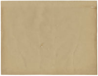 Foglie pressate dell'erbario cinese di Kau Shing (Qiaosizhen, Hangzhou?) 1859