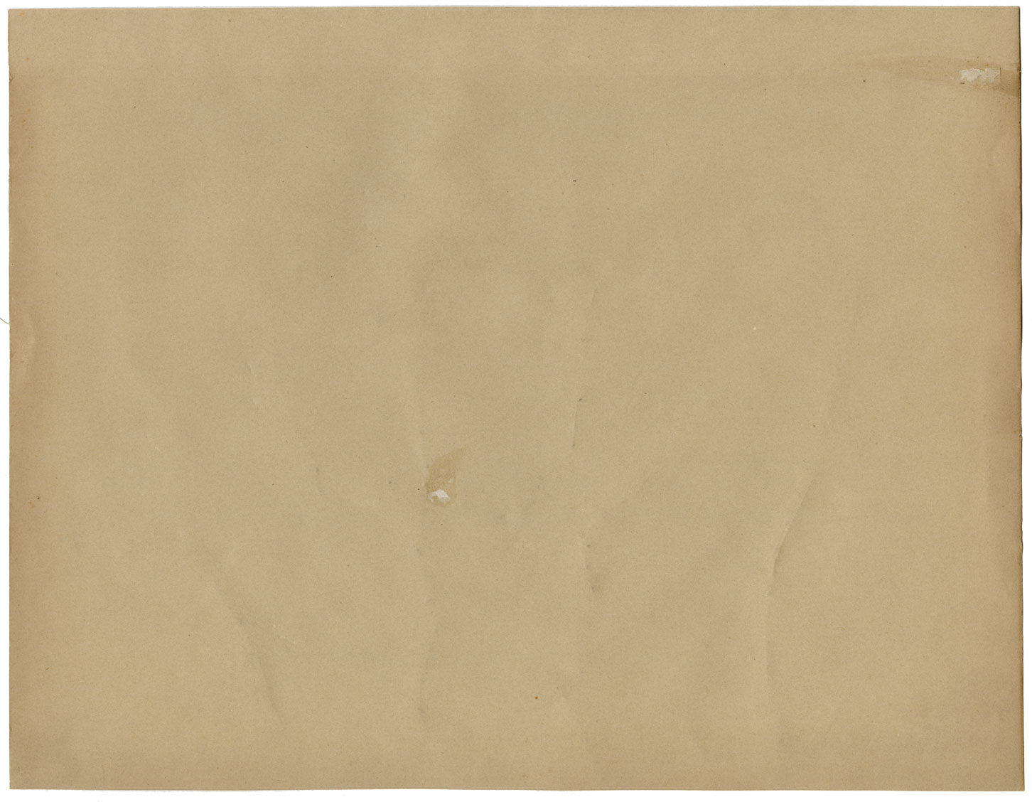 Foglie pressate dell'erbario cinese di Kau Shing (Qiaosizhen, Hangzhou?) 1859