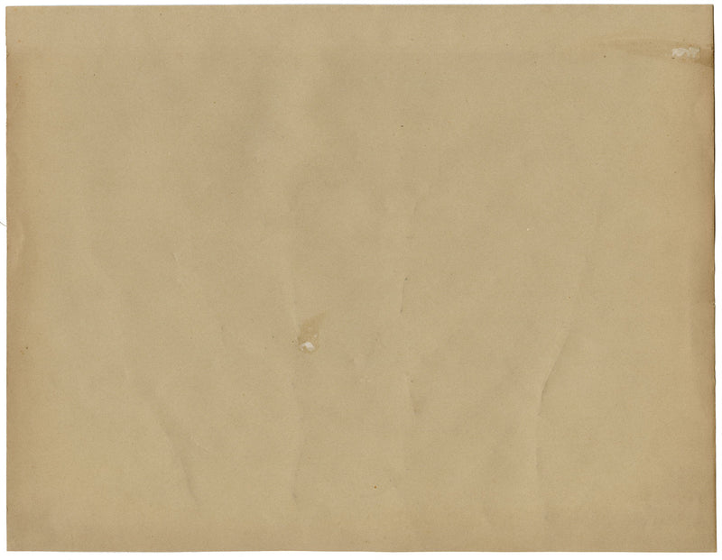 Foglie pressate dell'erbario cinese di Kau Shing (Qiaosizhen, Hangzhou?) 1859