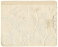 Chinese Herbarium Pressed Flowers from Kau Shing (Qiaosizhen, Hangzhou?) 1859