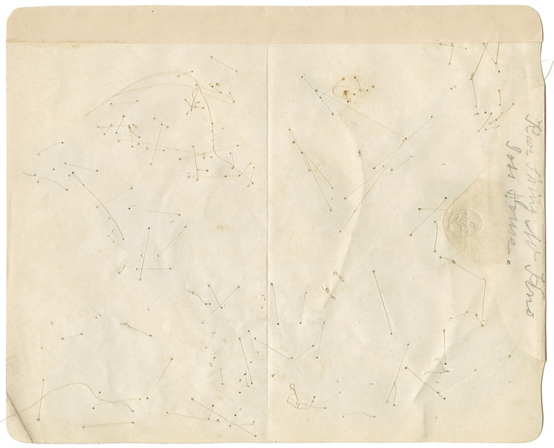 Chinese Herbarium Pressed Flowers from Kau Shing (Qiaosizhen, Hangzhou?) 1859