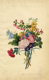 Elizabeth Pickersgill, Flower Posy with Daffodil – 1820 watercolour painting